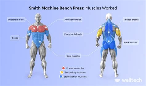 Smith Machine Bench Press: Is It Right for You? - Welltech