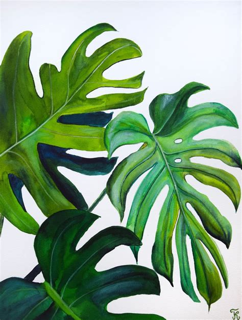 Monstera leaves original watercolor paintings, b | Artfinder