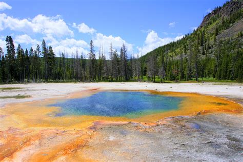 Yellowstone Park