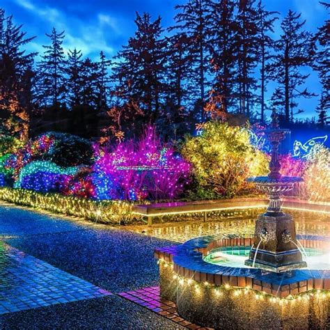 Shore Acres State Park holiday lights Coos Bay Oregon | Oregon vacation, Coos bay oregon, Places ...