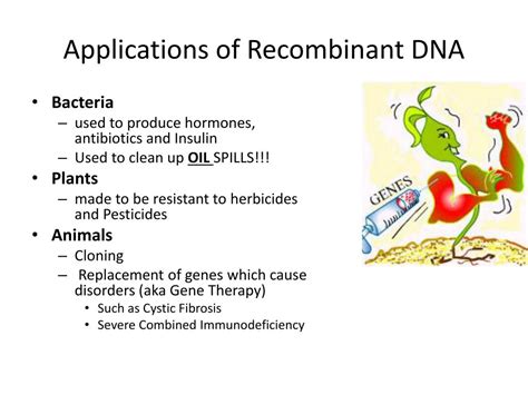 PPT - Transgenic Organisms PowerPoint Presentation, free download - ID:2661807