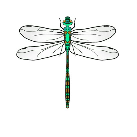 Dragonflys Hd Transparent, Green Realistic Dragonfly Clip Art, Clipart, Dragonfly, Green PNG ...