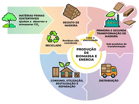 Compromisso com a economia circular | Siero Lam