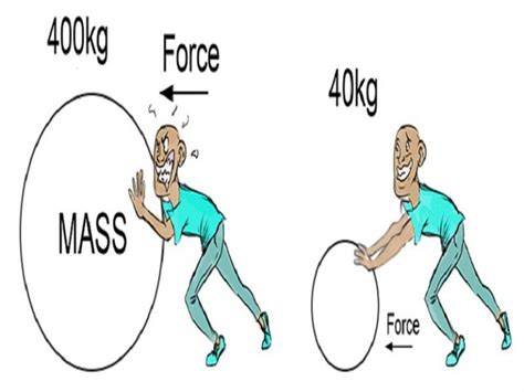 10 Examples of Newton’s Second Law of Motion in Everyday Life – StudiousGuy