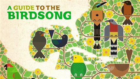 'A Guide To The Birdsong: Volume II' Uses Electronic Music To Save The Birds : NPR