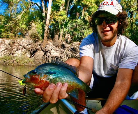 freshwater fish, florida - john kumiski outdoor communications