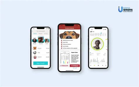 Dog Walking App Development - Trends And Process - IdeaUsher