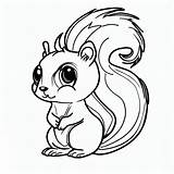 A Cute Squirrel coloring Page  Download Print Or Color Online For Free sketch template