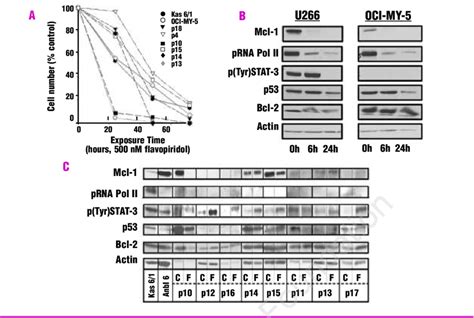 In vivo and ex vivo effects of flavopiridol. A. Flavopiridol inhibits... | Download Scientific ...