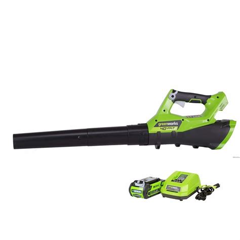 Best Greenworks Leaf Blower with Amazing Features