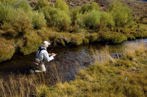 Colorado Supreme Court Rules Against Public Water Access - Moldy Chum