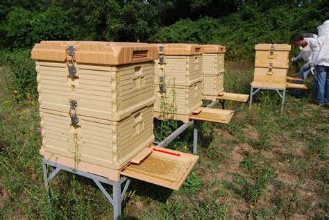 Best Bee Hives: 2017 Reviews (Top Picks) & Beekeeping for Beginners ...