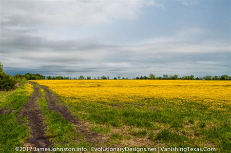 5 Texas Landscape Pictures - James Johnston