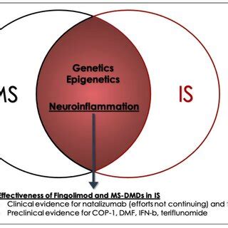 Neuroinflammation, the overlap between Multiple Sclerosis (MS) and ...