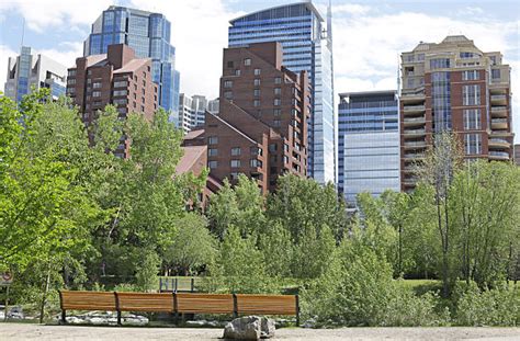 Calgary parks pop-up vendor pilot project begins this summer | CityNews ...