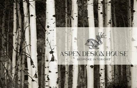 Aspen Design House — BirdDog Partners