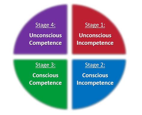 4 Stages of Skill Development | Hallett Training & Consulting