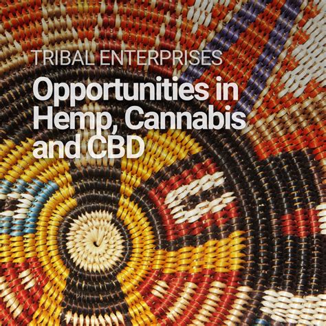 Native Tribes Find Opportunities in Hemp, Cannabis & CBD | MGO