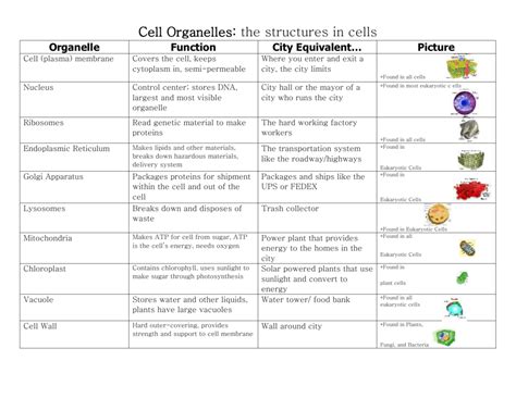 Organelle