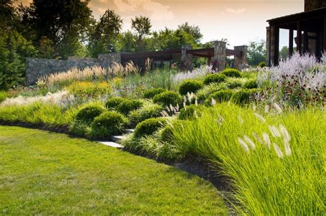 carex: garden design by carolyn mullet — gardeninglovers: AQUA TERRA ...