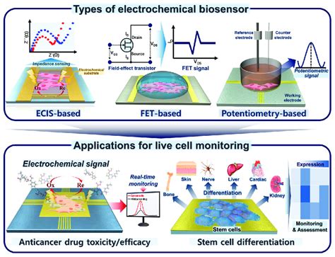 Schematic of various types of electrochemical biosensors for... | Download Scientific Diagram