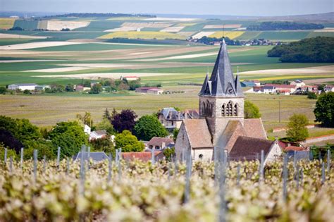 8 Top Champagne Houses in Reims, France - Savored Sips