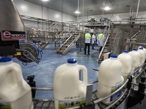 ACCC decision on Coles purchase of Saputo processing plants this week | The Weekly Times