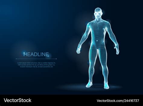 Human body 3d polygonal wireframe blueprint Vector Image