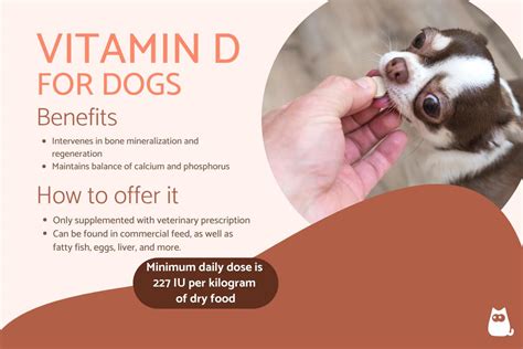 Dog Vitamin D Deficiency Symptoms It's Not A Vitamin Deficiency Pitties ...