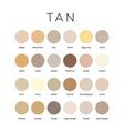 Brown color shades swatches palette with names Vector Image