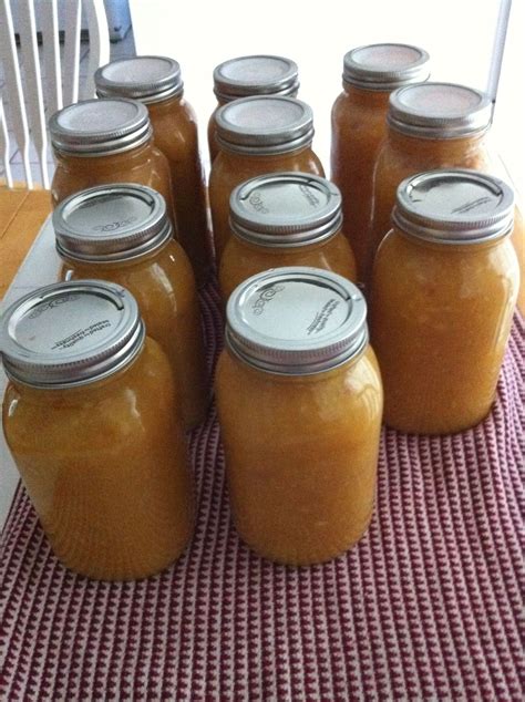 Applesauce Recipe For Canning