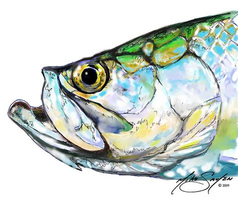 Gallery For > Tarpon Drawings | Fish artwork, Fish art, Fly fishing art