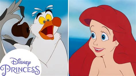 🧐 Scuttle Explains Human Stuff | Disney Princess | Disney Kids - YouTube