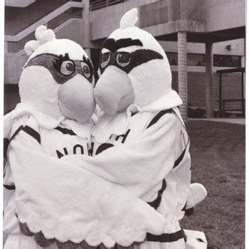 UNF Mascots through the Years - University of North Florida