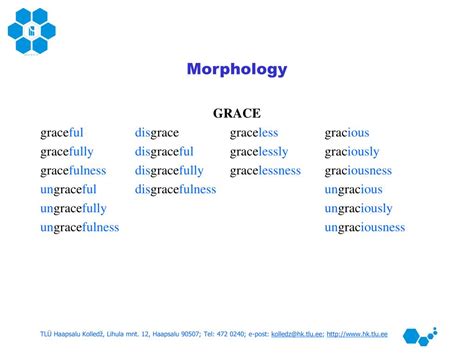 PPT - Basics of Morphology PowerPoint Presentation, free download - ID ...