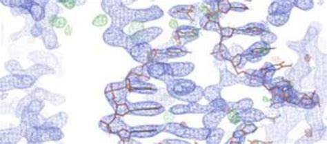 DNA [IMAGE] | EurekAlert! Science News Releases