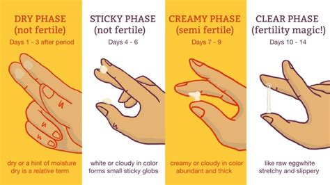 Ovulation Tracking with PCOS: Ovusense | PCOS Diet Support