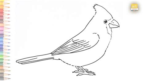 Cardinal bird outline drawing 03 | How to draw A Cardinal bird step by ...