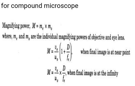 Compound Light Microscope Magnification Calculation | Shelly Lighting