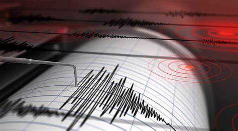 Illinois Earthquake: 3.1 Magnitude Tremor Near Waltonville Felt Across Midwest - Country Herald