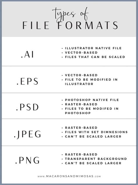 Different File Formats & File Extenstions - Macarons & Mimosas | Shopify & Logo Design Agency