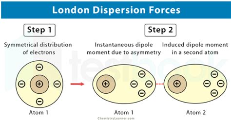 [Solved] What kind of forces arise from transient dipoles in atoms th