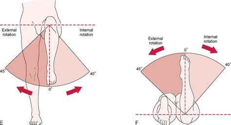 Internal & External Rotation of Hip | Physical therapy exercises, Knee strengthening exercises ...