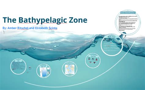 The Bathypelagic Zone by Amber Ritschel on Prezi