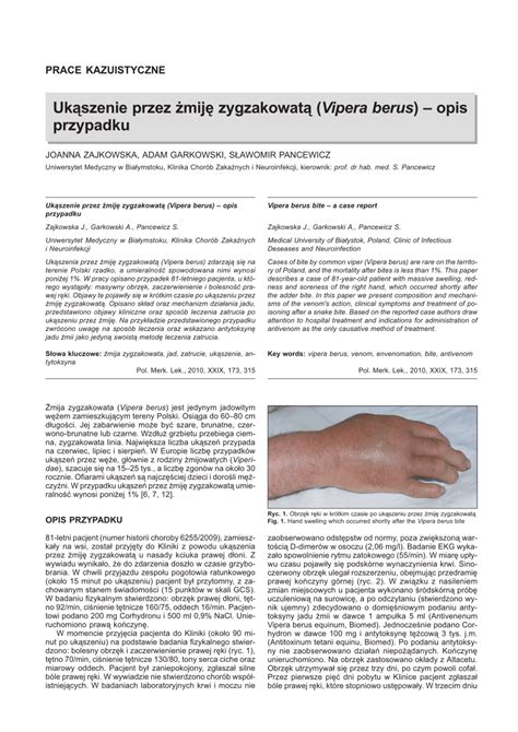 (PDF) Vipera berus bite - A case report