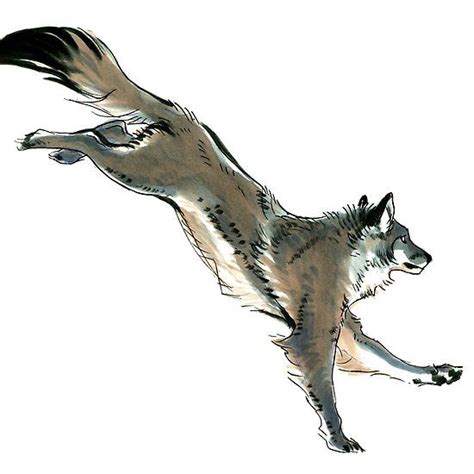 Running Wolf Sketch | Wolf sketch, Wolf running, Wolf poses