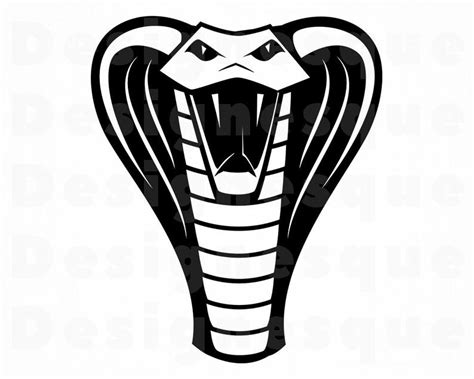 Cobra clipart cool snake, Cobra cool snake Transparent FREE for download on WebStockReview 2024