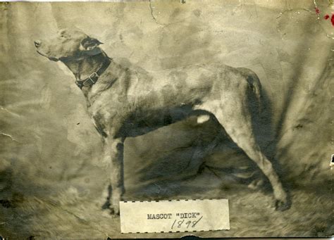 Dick the dog, college mascot, 1898 | Dickinson College