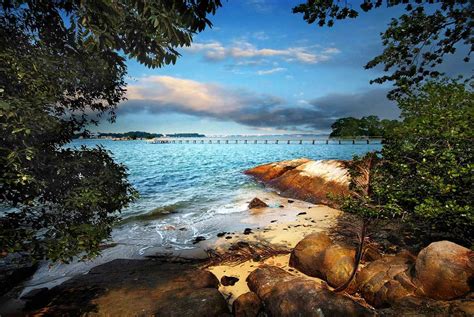 Chek Jawa, Pulau Ubin Singapore - Boardwalk, Guided Tour