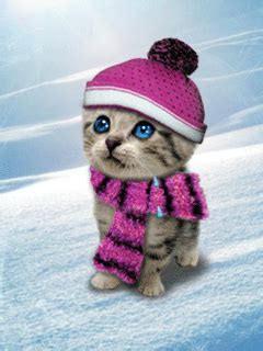 Sad Kitten GIF - Download & Share on PHONEKY